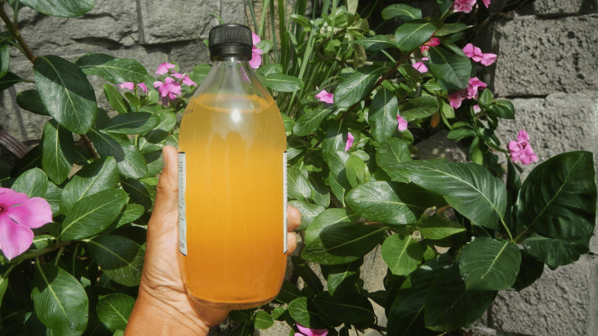 apple-cider-vinegar-health-risks