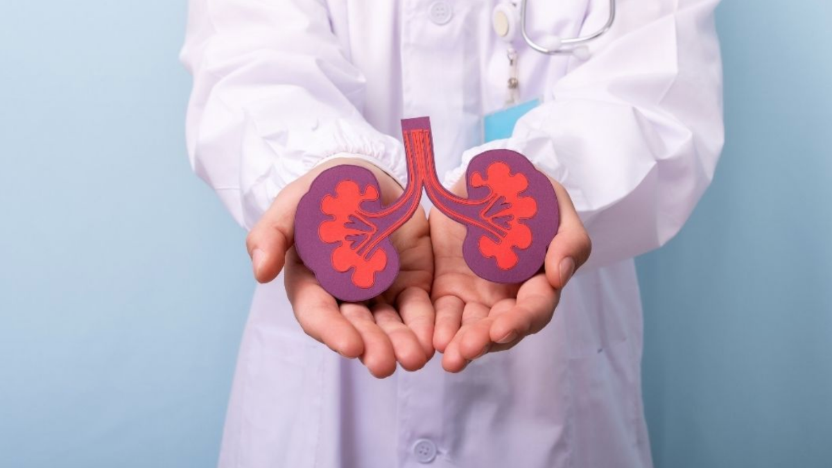 kidney health