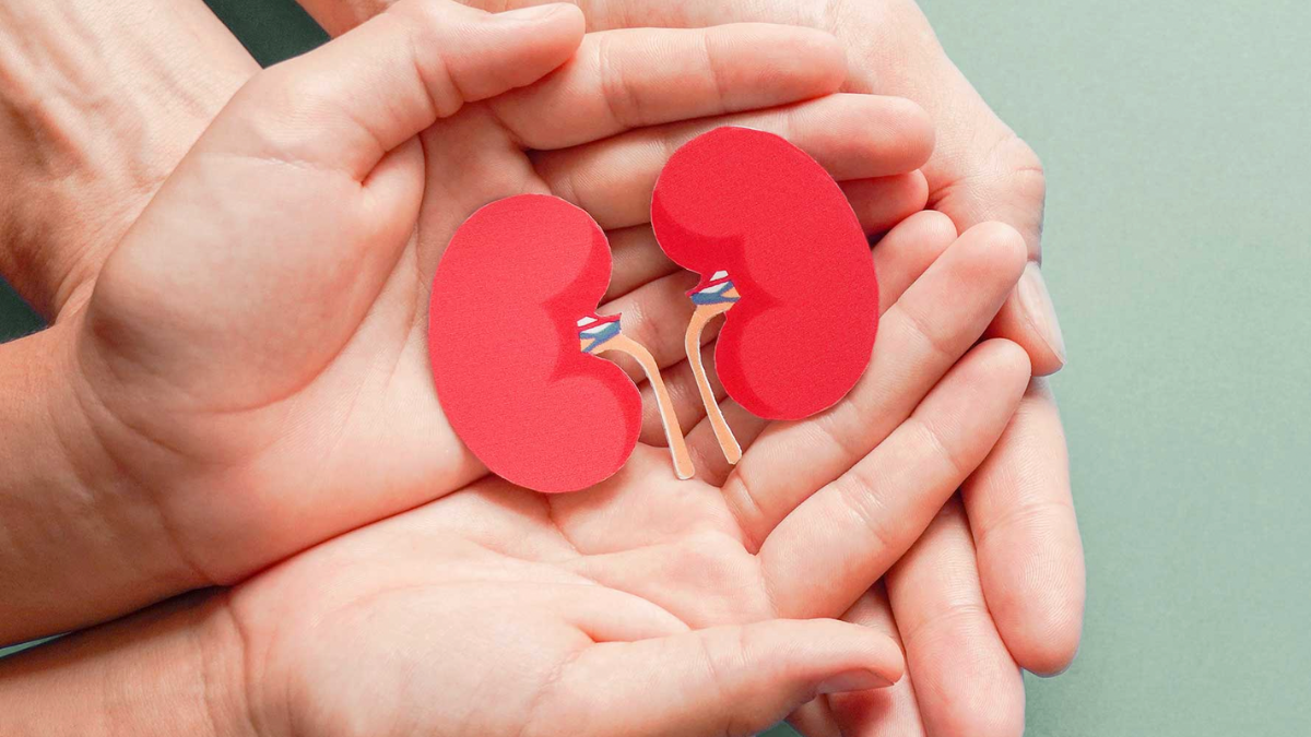 kidney health