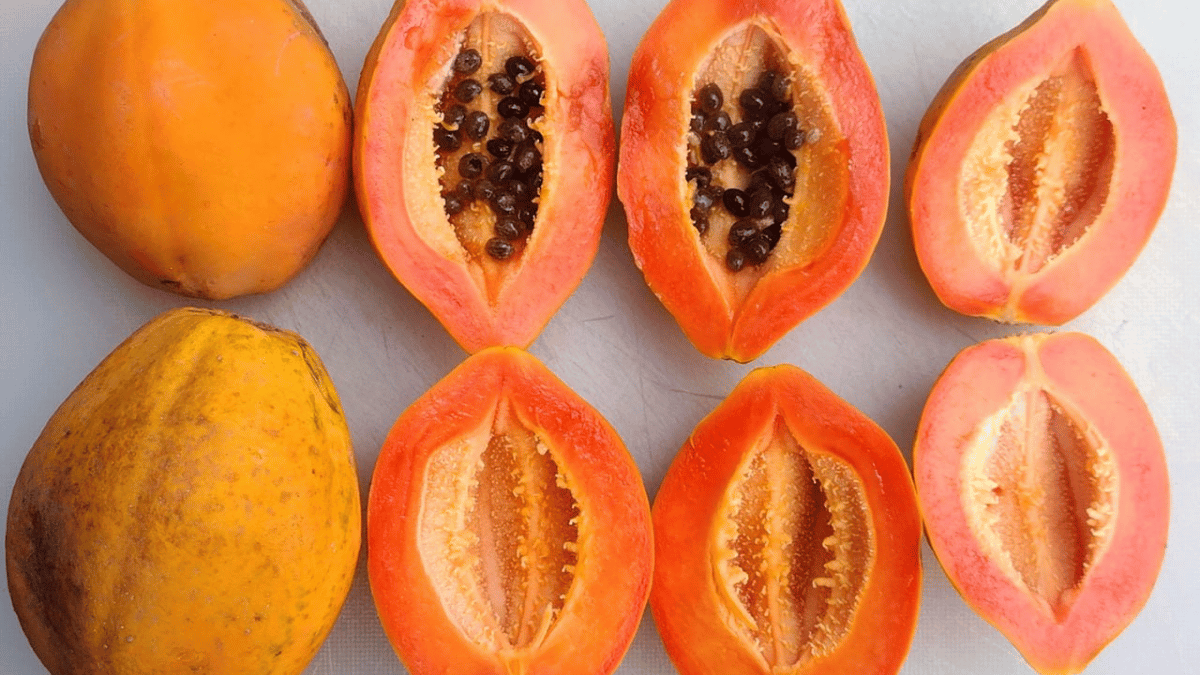 morning-gut-reset-foods